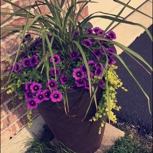 Meet your Posher, Mel