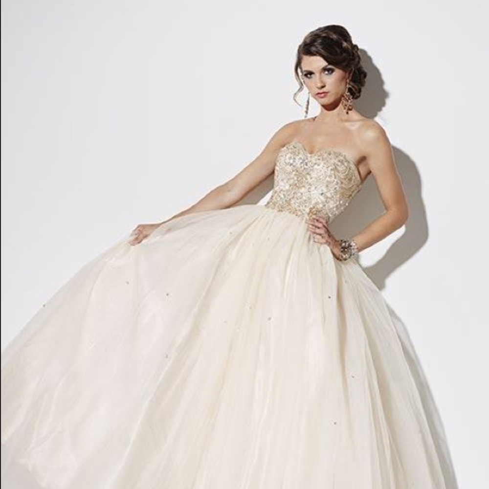 Beautiful jeweled bodice formal dress.