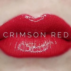 Lipsense Starter Kit (crimson red)