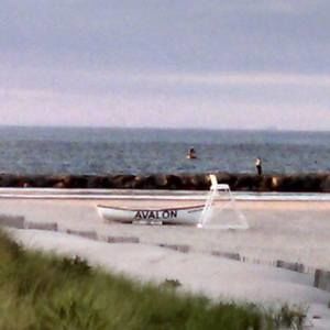 Meet your Posher, Teri