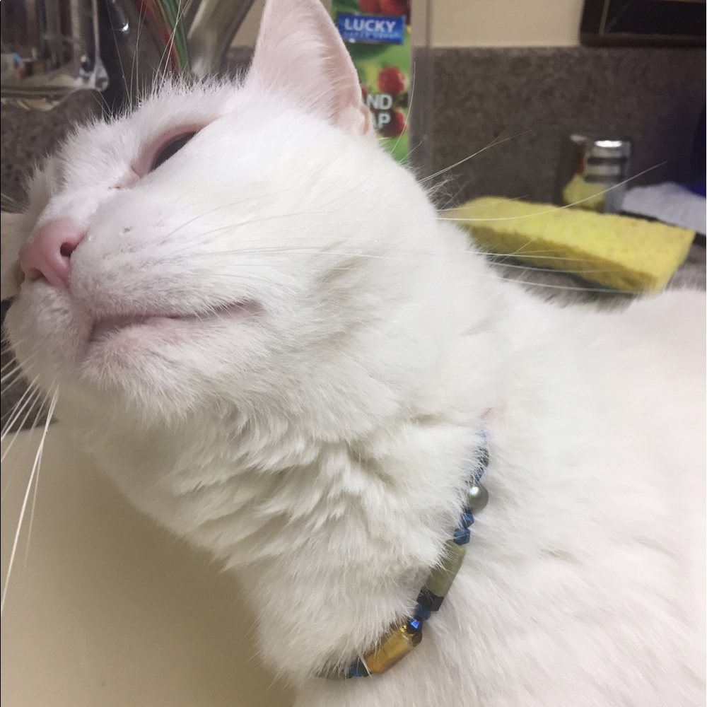 Custom made - Picture 2 of 2