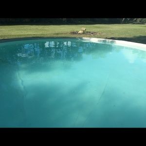 Meet your Posher, Debra