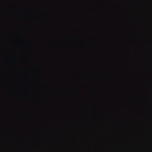 Meet your Posher, Mara