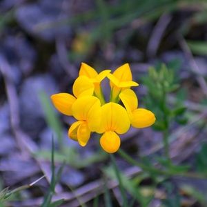 Meet your Posher, Ethan