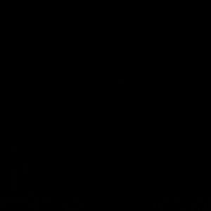 Meet your Posher, Jessi