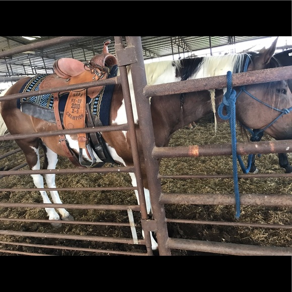 Meet your Posher, Miranda - Picture 1 of 1