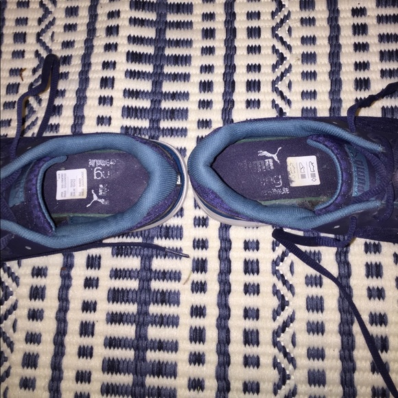 Pumas - Picture 3 of 6