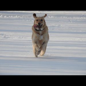 Meet your Posher, Deborah