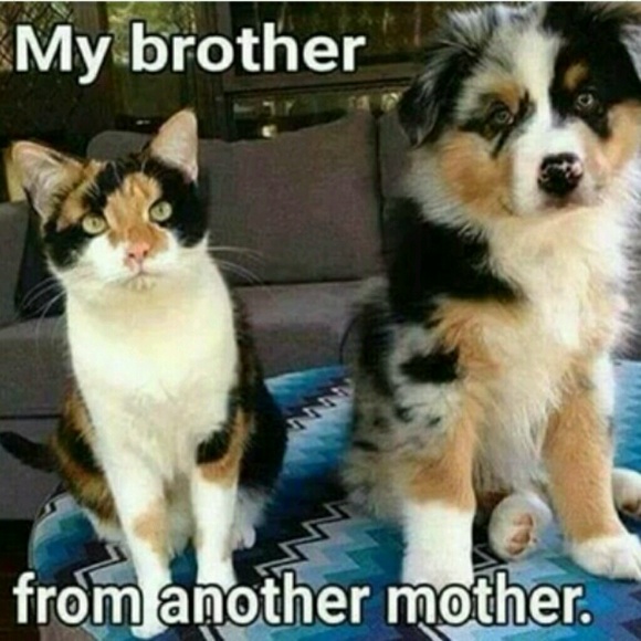 Meet your Posher, Juan - Picture 1 of 1