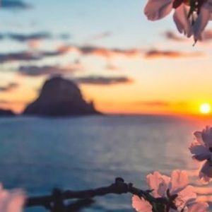 Meet your Posher, Tiana