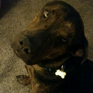 Meet your Posher, Denise