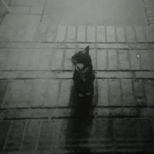 Meet your Posher, Desiree