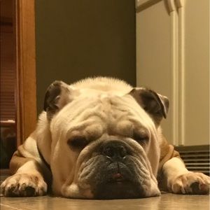 Meet your Posher, David