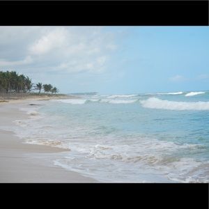 Meet your Posher, Elle