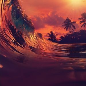 Meet your Posher, Wendy