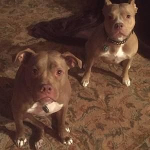 Meet your Posher, Deneen