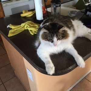 Meet your Posher, Malinda