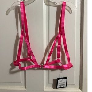 Anne Summers Hot Pink bra