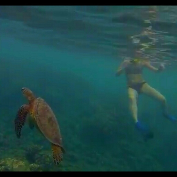 Meet your Posher, Megan💋🙊 - Picture 5 of 5