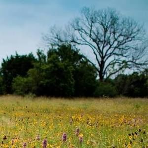 Meet your Posher, Patti