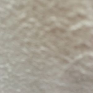 Meet your Posher, Ines