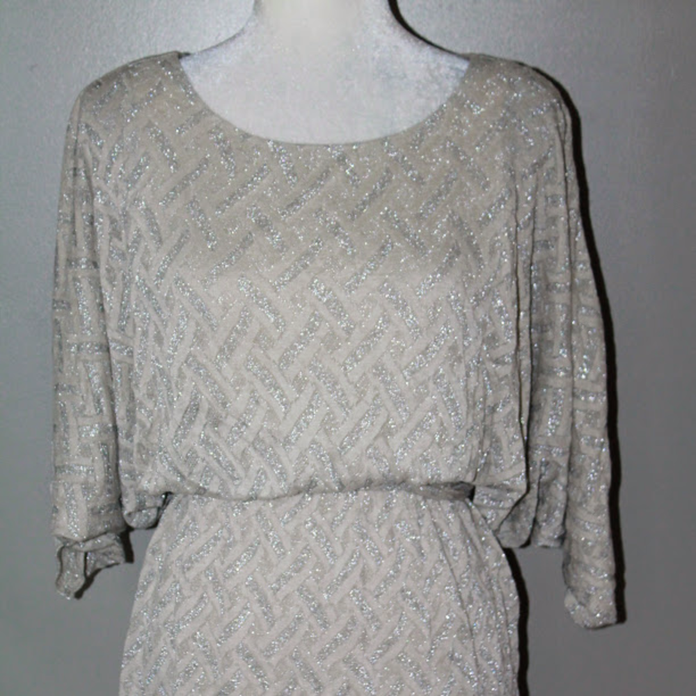 Signature by Robbie Bee Dress