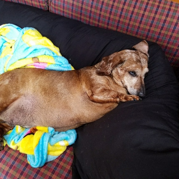 Dolly😊 - Picture 2 of 3