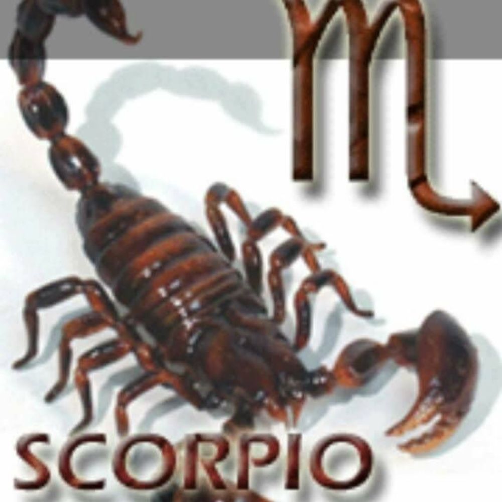 Meet your Posher, Janice davis