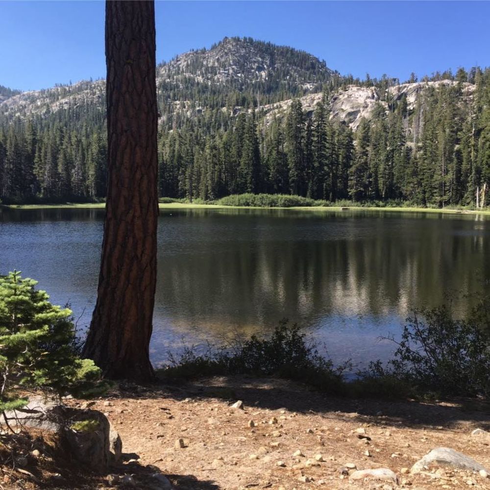 Meet your Posher, Marie