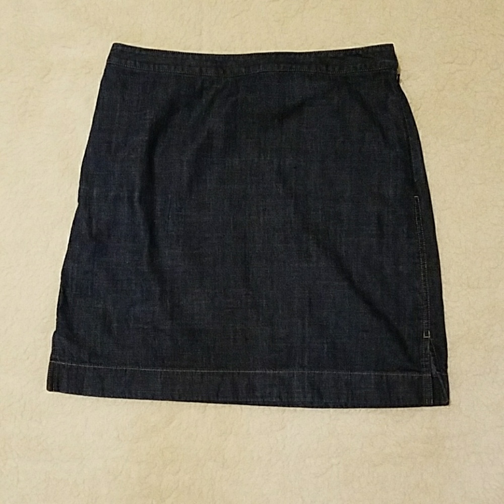 Ann Taylor skirt