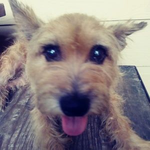 Meet your Posher, Roberto