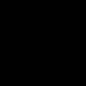 Meet your Posher, Pooh