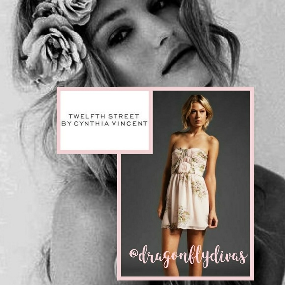 Twelfth Street by Cynthia Vincent Dresses & Skirts - Cynthia Vincent Shirred Corset Mini Dress NWOT!