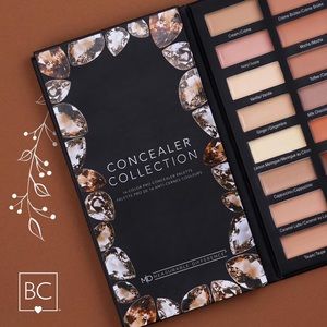 16 Color Concealer Palette