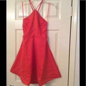 "NWT" Fit and Flare Dress
