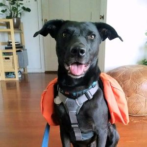 Meet your Posher, Whitney