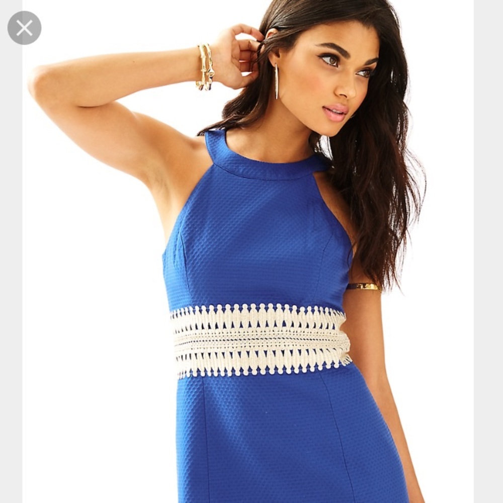 Bright blue Ashlyn shift dress BNWT