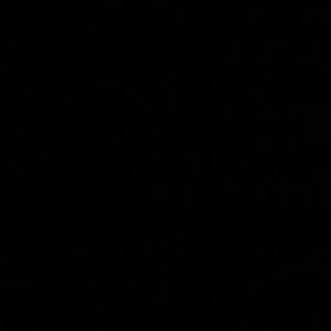 Meet your Posher, Jesse