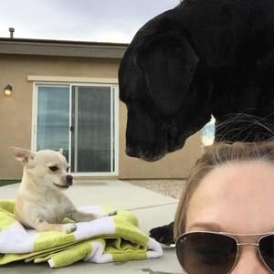 Meet your Posher, Cathy