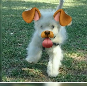 Meet your Posher, Jenifer