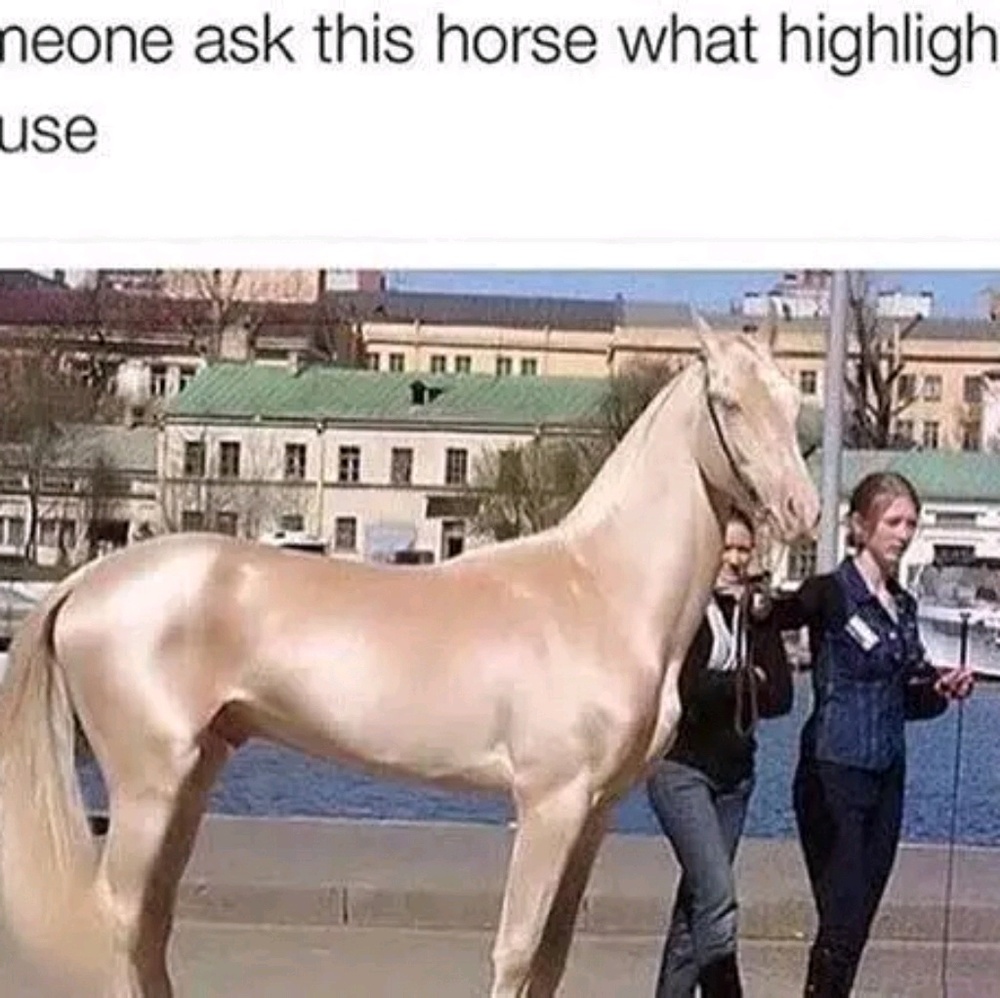 Meet your Posher, Gena