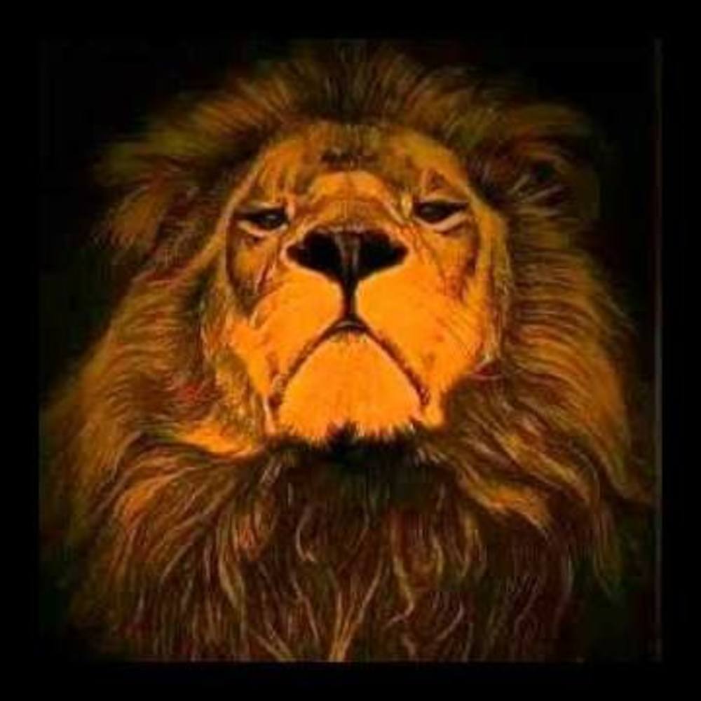 Meet your Posher, George