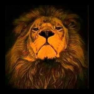 Meet your Posher, George