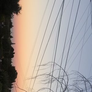 Meet your Posher, Sammy