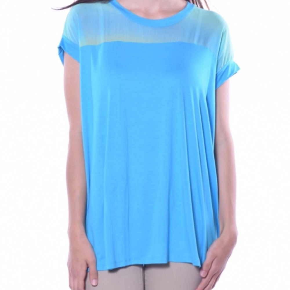NWT Pastels Top Sheer Green Blue Large XL