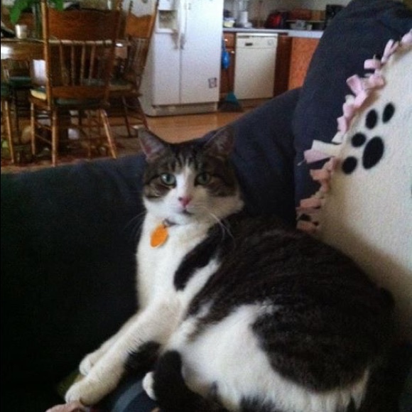 Meet your Posher, Colleen - Picture 2 of 7