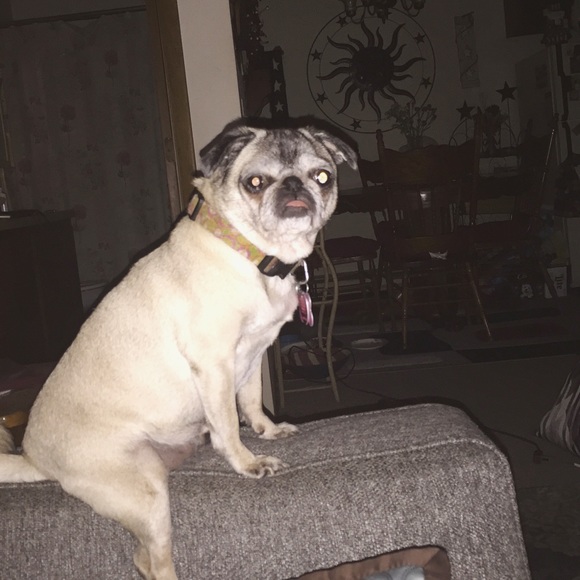 Meet your Posher, Colleen - Picture 3 of 7