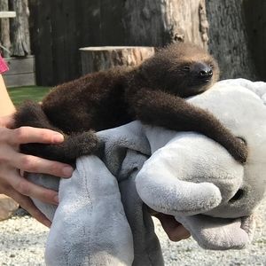 Meet your Posher, Kenneth