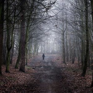 Meet your Posher, Carl