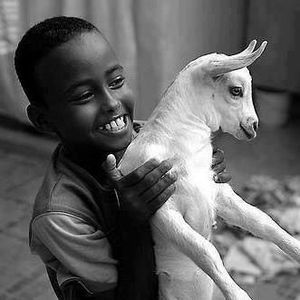 Meet your Posher, Ilyas